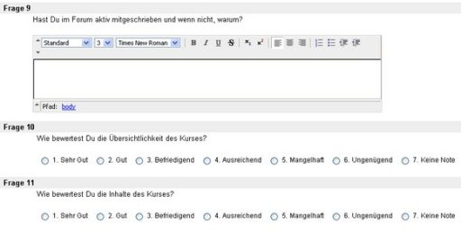 Screenshot einer Online-Umfrage